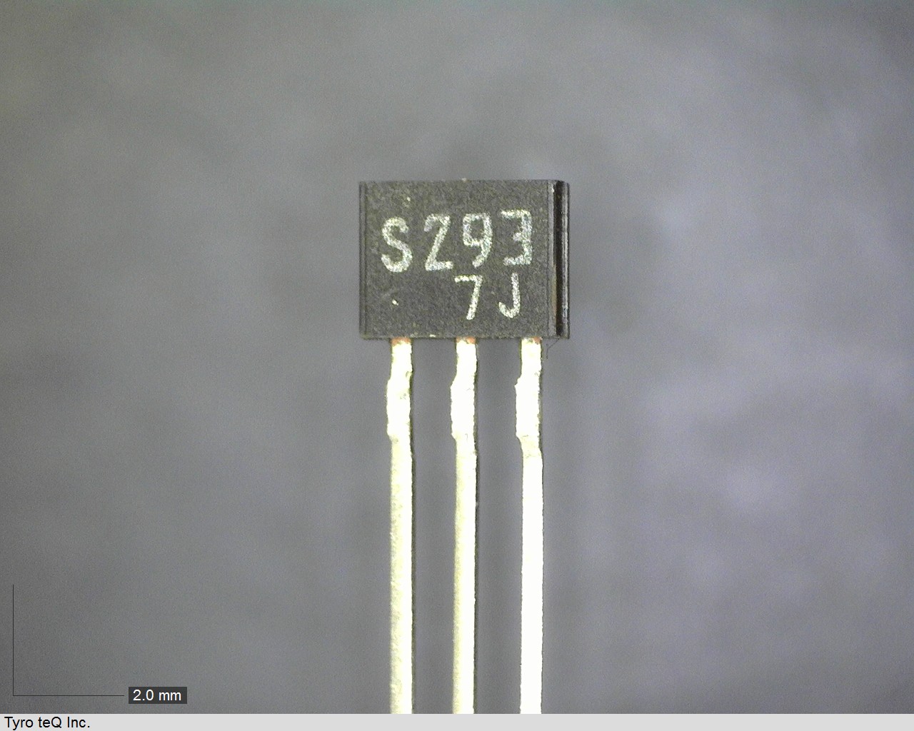 1SS293(F)