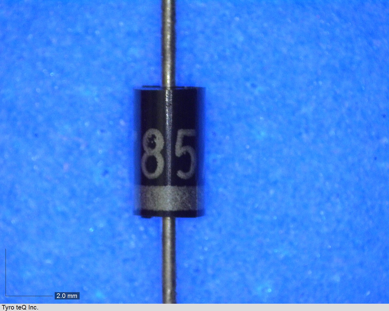 1S1885A(Q)