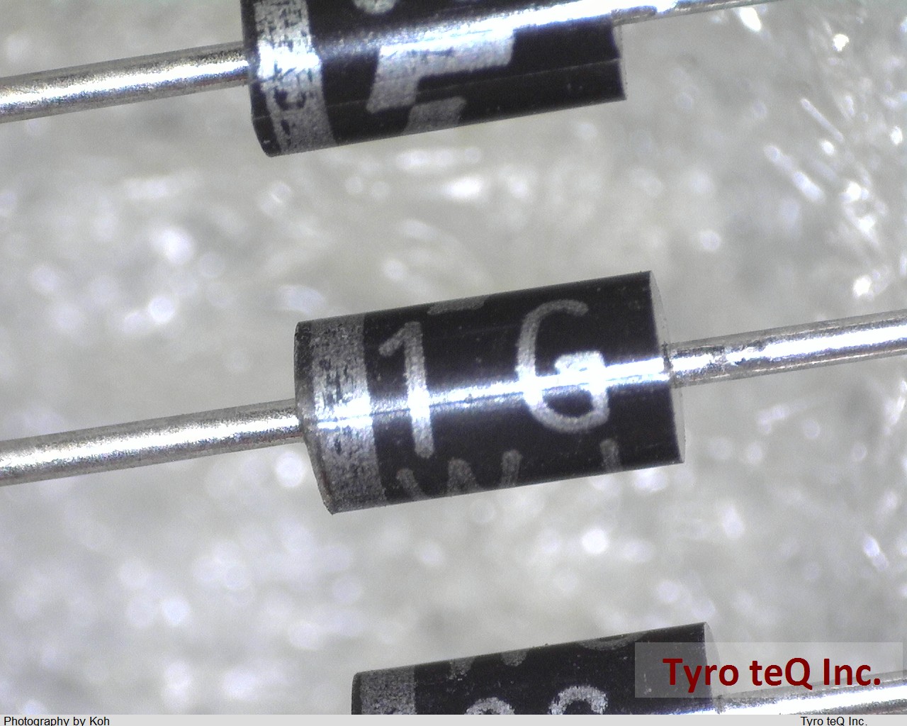 1GWJ42(N,TPA2)