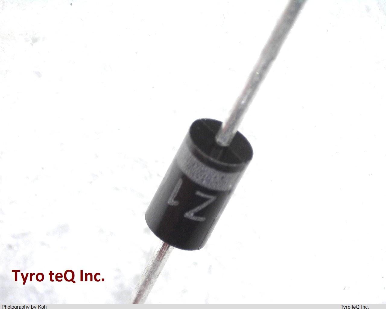 1Z16(Q)