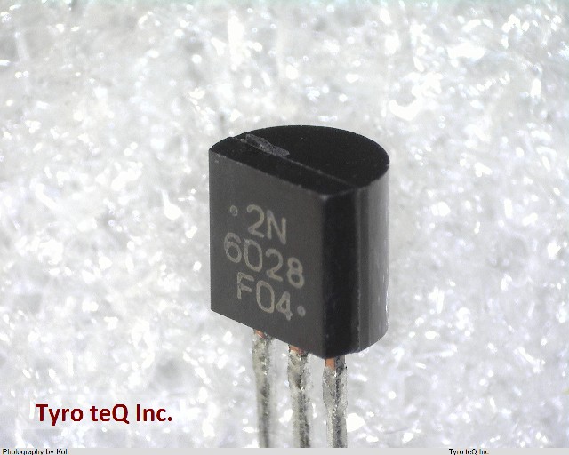 2N6028G