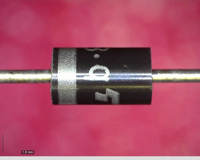 1S1834