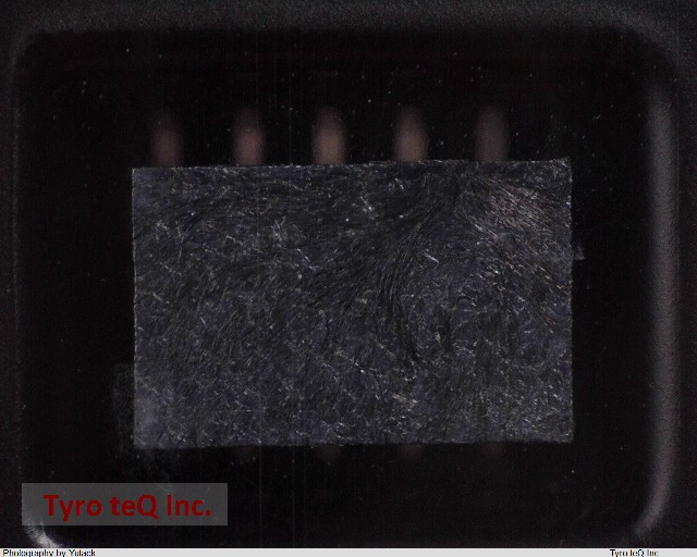 20021121-00010C4LF