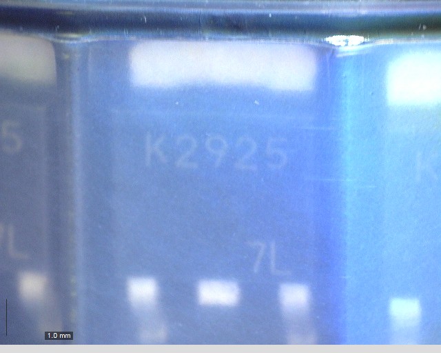2SK2925S