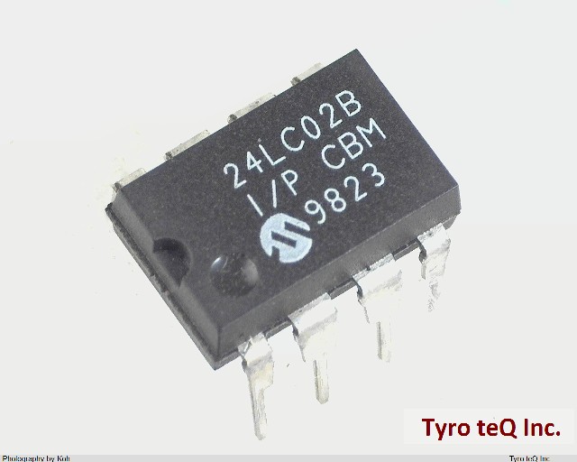 24LC02B-I/P