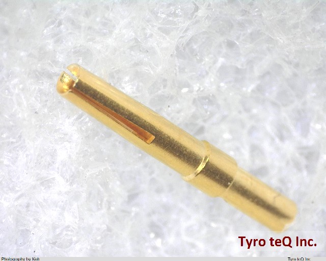 61030000113