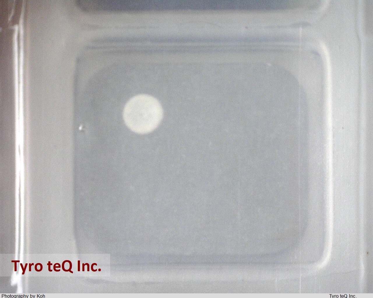 ACM0706-102-2P-T