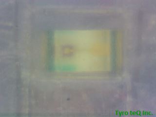 AY1111C-TR