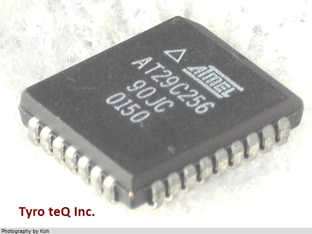 AT29C25690JC