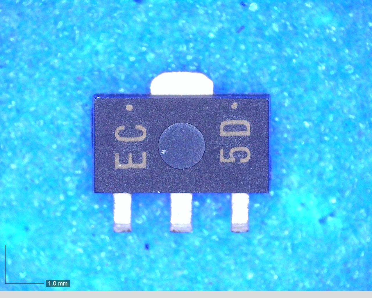 AN77L035M