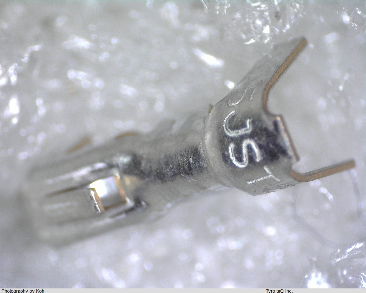 BXH-001T-P0.6