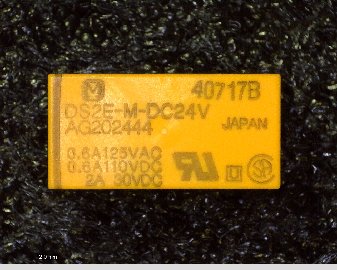 AG202444 DS2E-M-DC24V