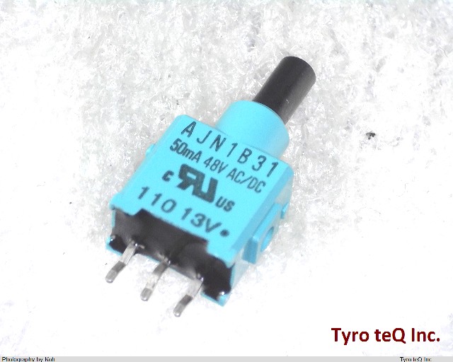 AJN1B31