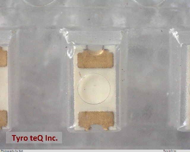 BG1101W-TR
