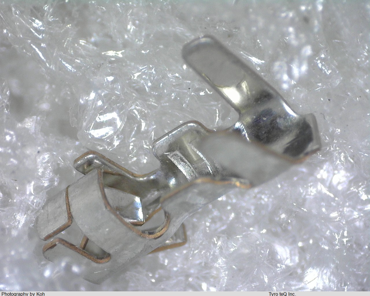 BXH-001T-P0.6
