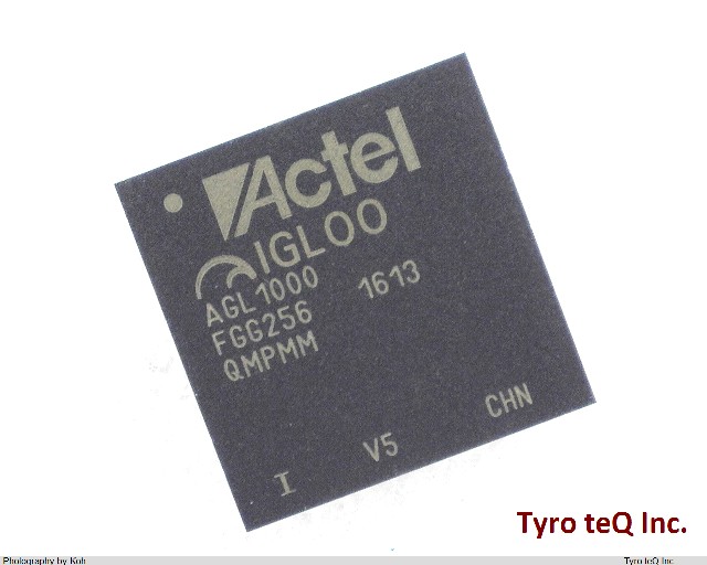 AGL1000V5-FGG256I