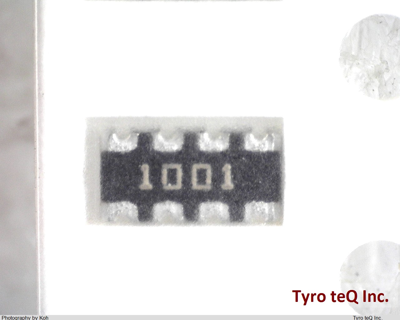 CAT16-1001F4LF