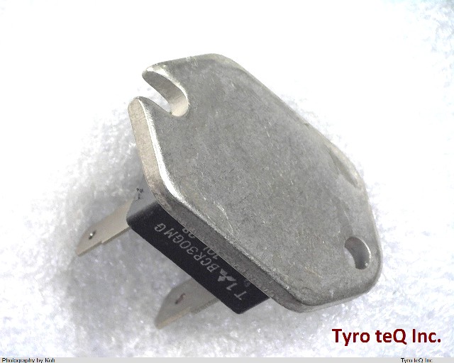 BCR30GM-10L