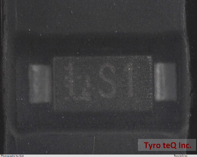 CRS01(T5L,TEMQ)