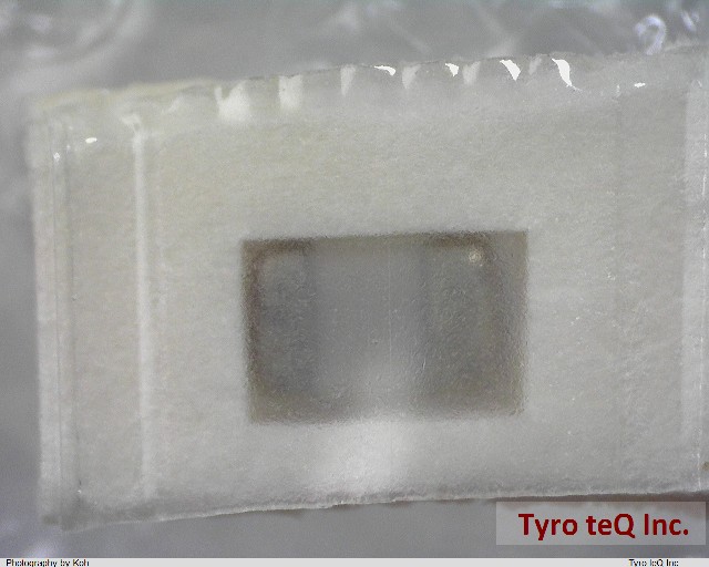 C0805C101K5GAL
