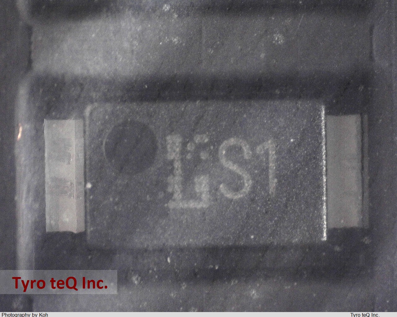 CMS01(TE12L,Q)