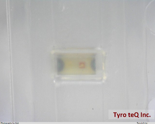 CL-195YG-CD-T