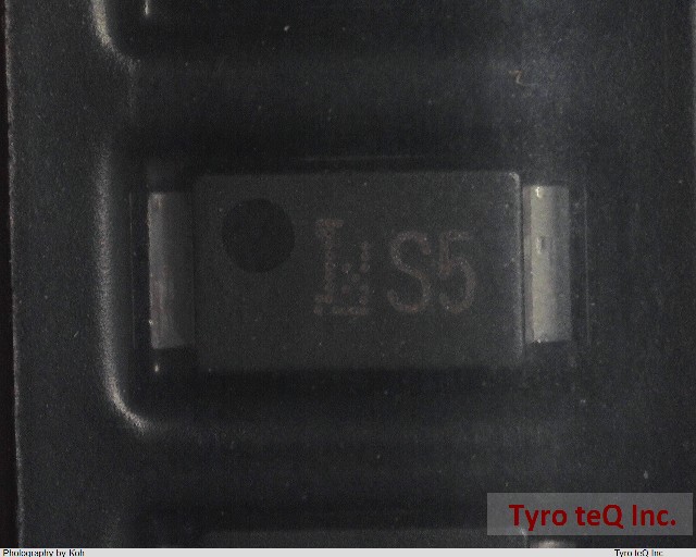 CMS05(T2L,TEM,Q)