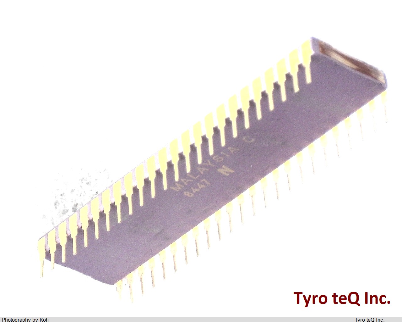 C8095-90