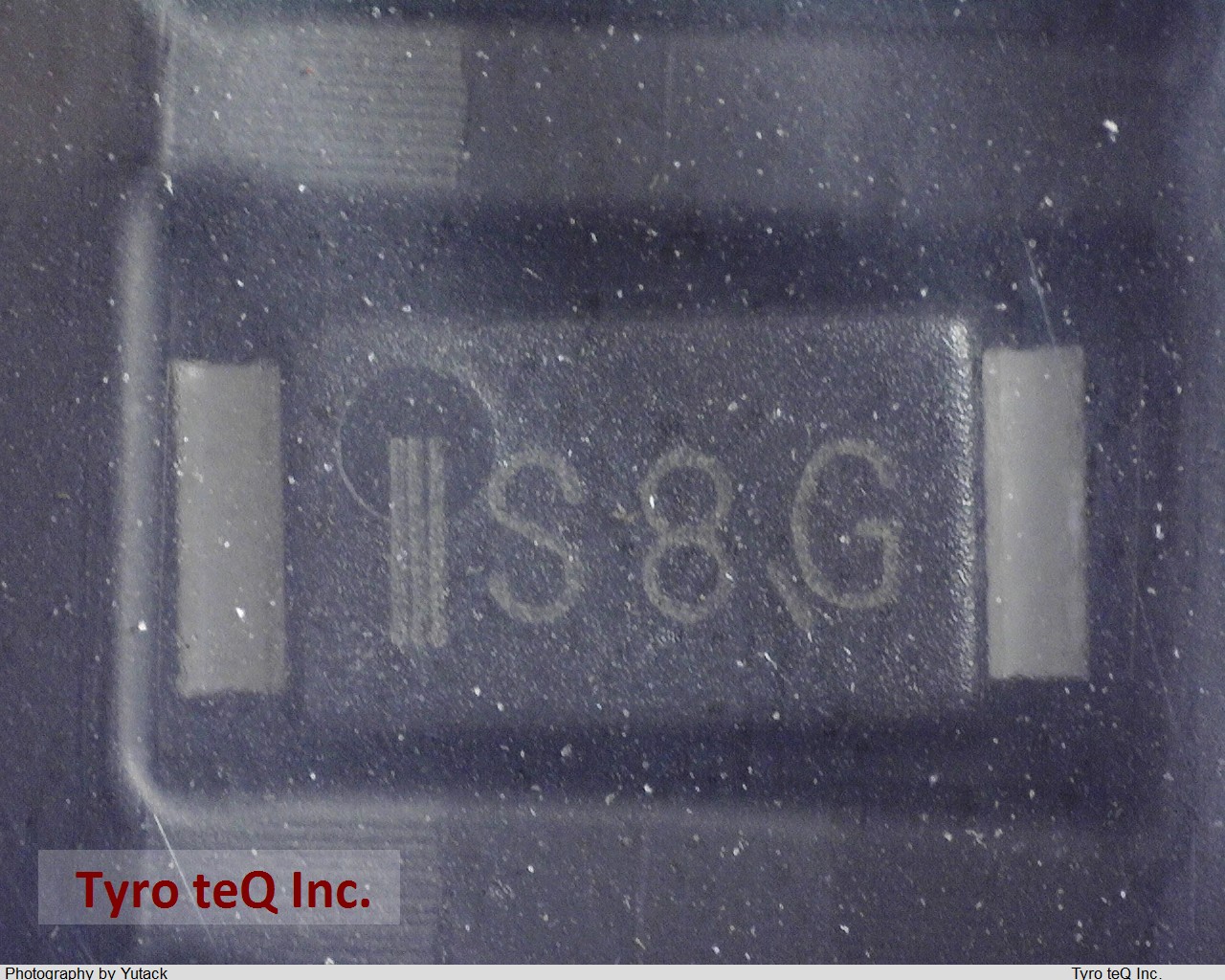 CMS08(TE12L)