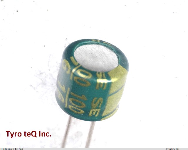 CE1C101MZJANC
