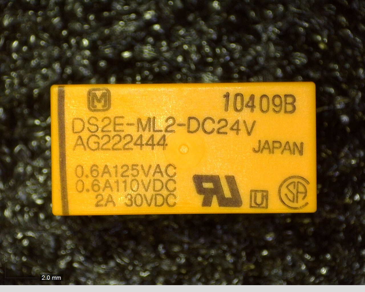 DS2E-ML2-DC24V