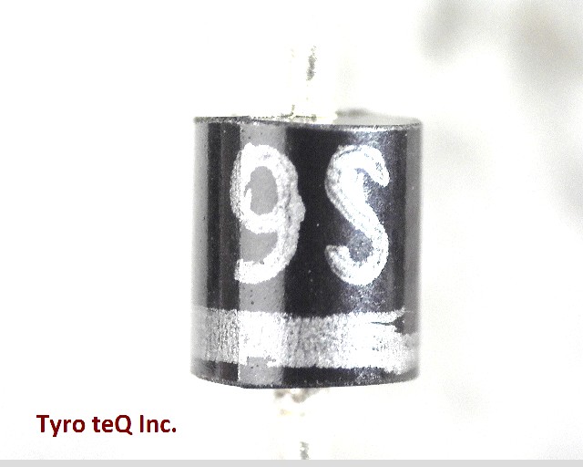 D1NS6-4060