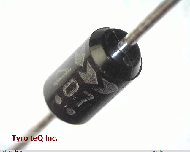 ERB81-004