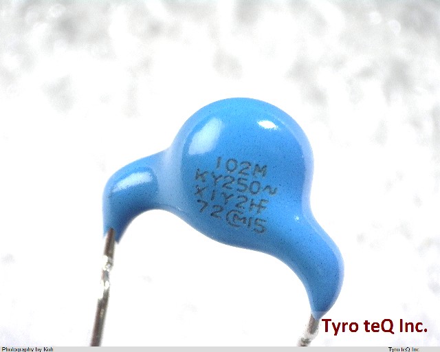 DE2E3KY102MA3BM02F
