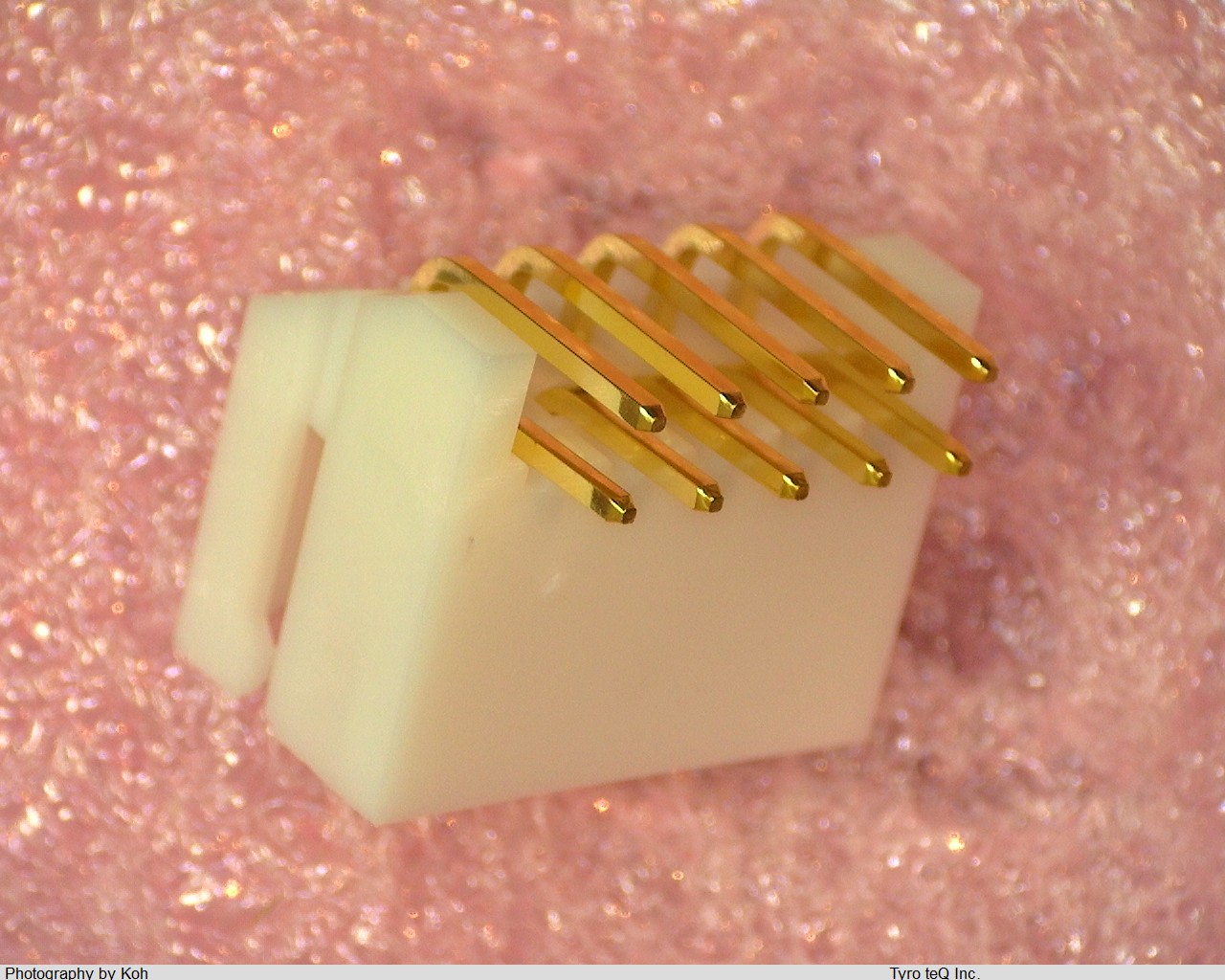 DF1B-10DP-2.5DS(01)