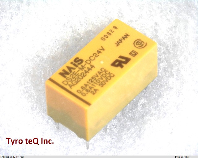 DS2E-M-DC24V