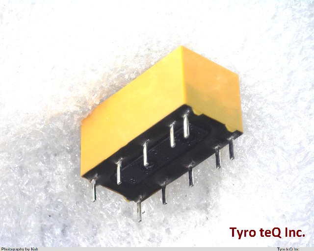 DS2E-SL2-DC24V