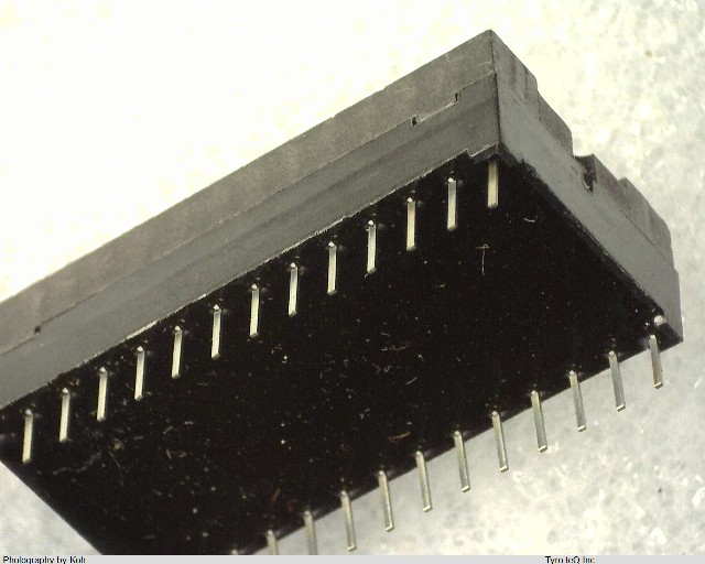 DS1219