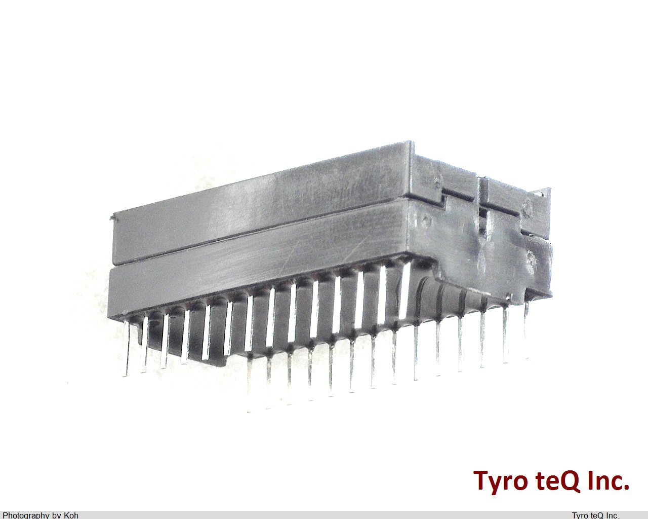 DS1216C
