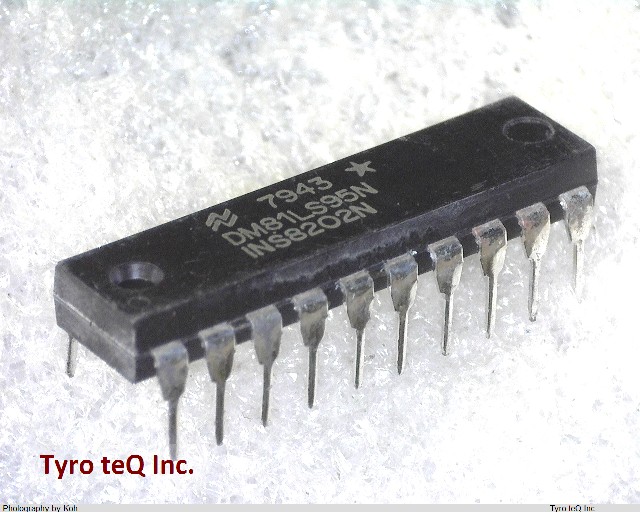 DM81LS95N
