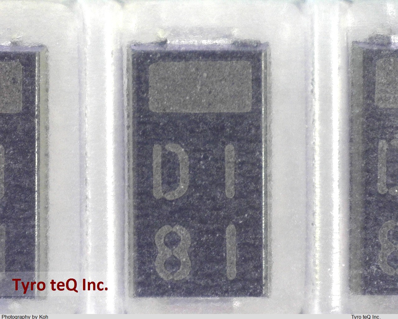 EC10DS1-TE12L