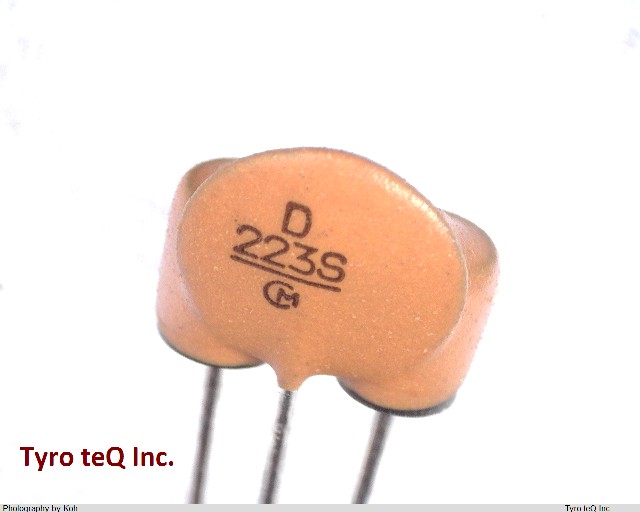 DSS9ND31H223Q55B