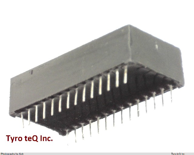 DS1244Y