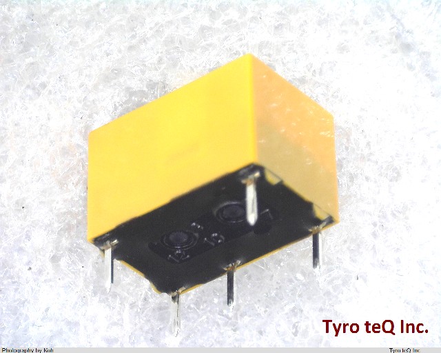 DS1E-M-DC24V