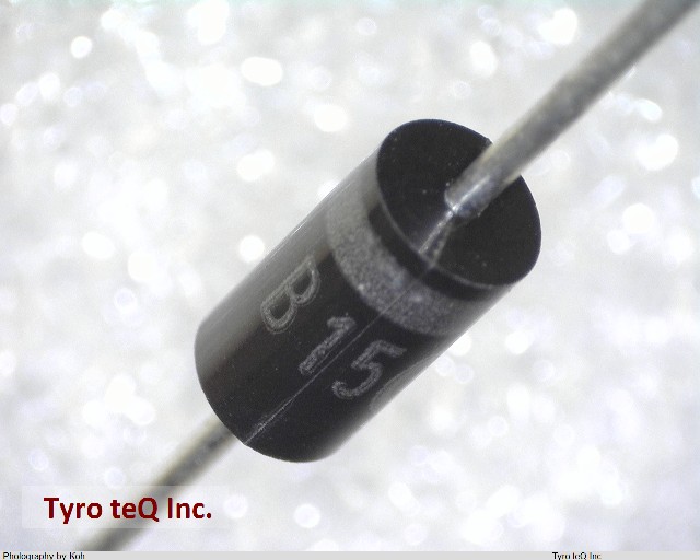 DSB15TG