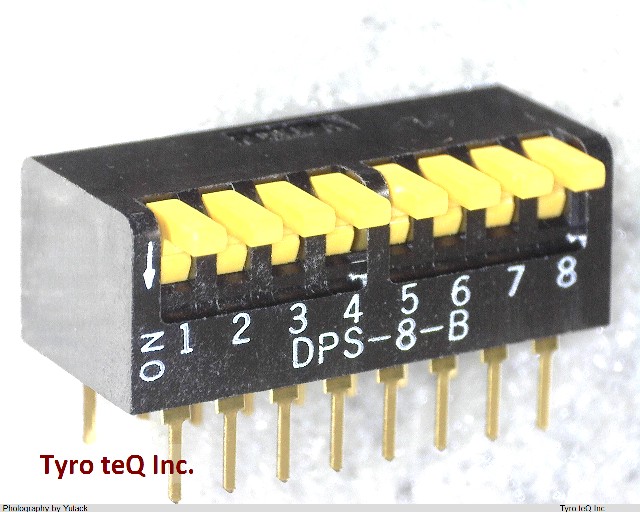 DPS-8B