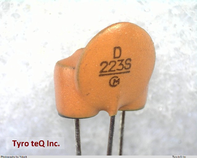 DSS9ND31H223Q55B