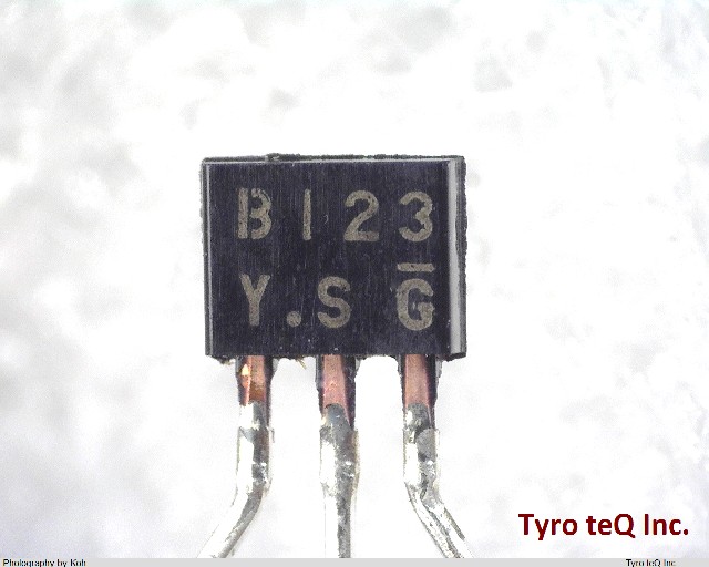 DTB123YS