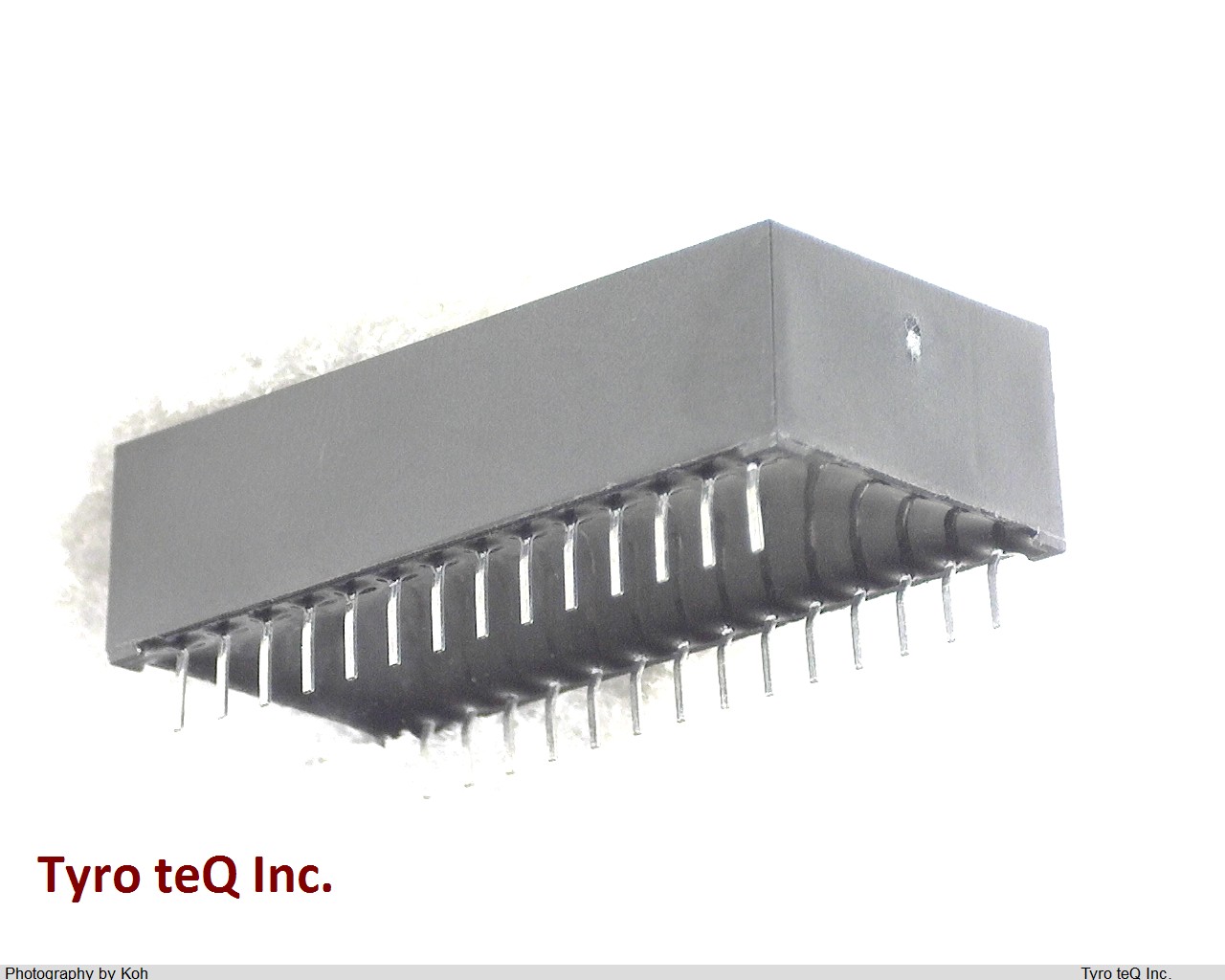 DS1244Y
