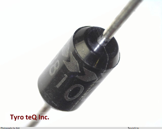 ERB81-004